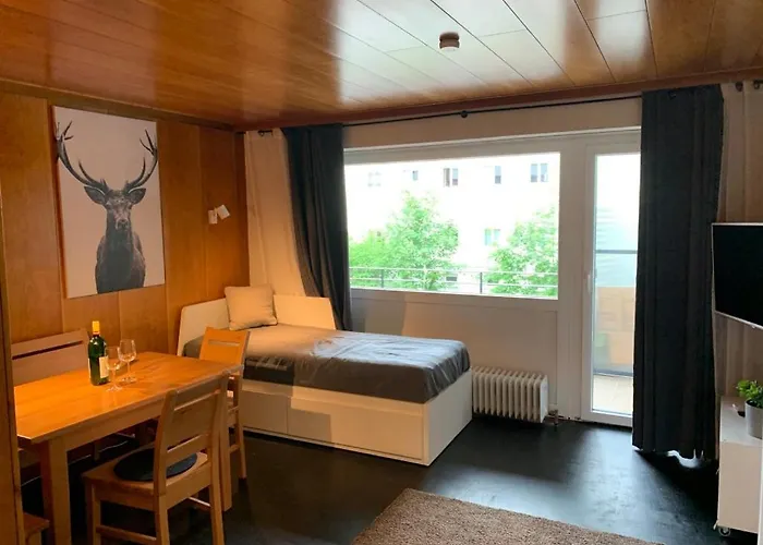 Zentrum 基茨比厄尔